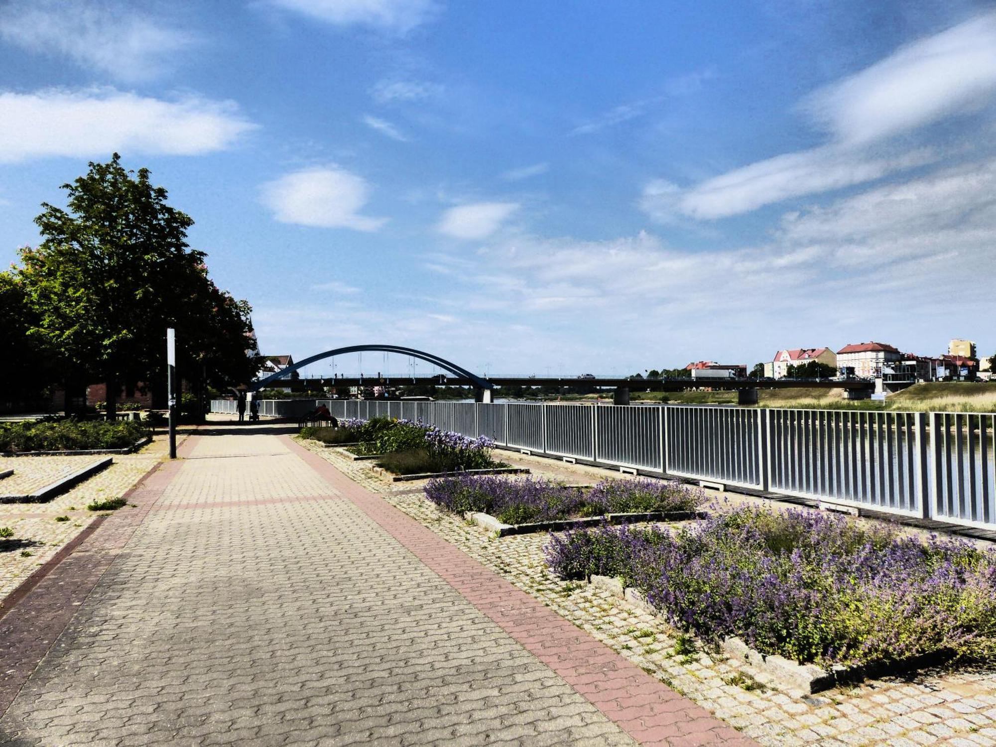 Viadrina Rooms & Apartments Frankfurt-Oder Am Park Im Zentrum Frankfurt  Esterno foto