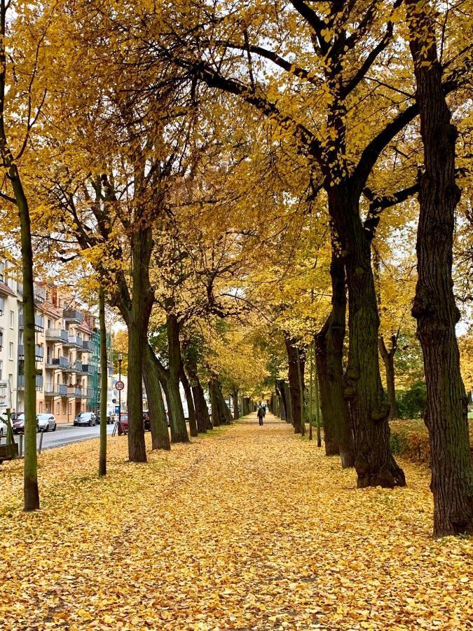 Viadrina Rooms & Apartments Frankfurt-Oder Am Park Im Zentrum Frankfurt  Esterno foto